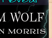 Storm Wolf Stephen Morris @JGBookSolutions @StephenNYC1