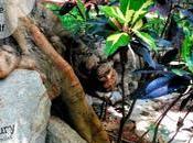 Turn Down Volume, Unplug, Listen