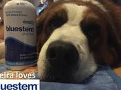 #BadBreath Blues: Keira Tries Easy #dog #dental Care with #bluestempets Products