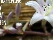 Have Heard Varicocele?