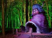 Build Fairytale Treehouse Kid’s Room