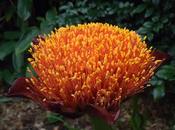 Just Little Obsessive