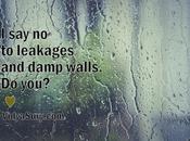 Leakages Damp Walls. You?