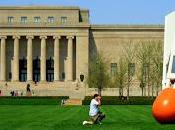 Nelson-Atkins, Best