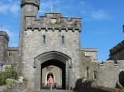 Devon Days Out: Powderham Castle