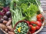 Harvest Monday September 2016