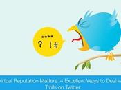 Virtual Reputation Matters: Excellent Ways Deal with Trolls Twitter