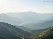 Summer Douro Valley