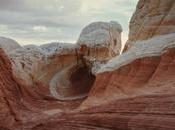 Malick's "Voyage Time", Disney There First "Fantasia"?