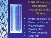James Oschman Human Story Interconnected Neuro-electric Matrix Penetrates Time Space.