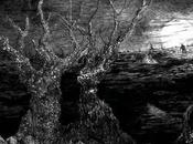 SWAMP WITCH: Slithering From Oppressive Death Doom Collective Streaming Decibel; Record Vinyl Tribunal