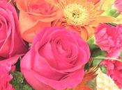 Sunday Bouquet: Brightest Pink Orange Blooms