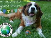 #WorldRabiesDay 2016: #vaccinate #pets Against #rabies