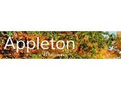 City Appleton (WI) BATTALION CHIEF TRAINING OFFICER