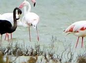 Weird Unusual Tourist Attractions Cyprus