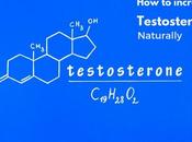 Increase Testosterone Efficiently Maintain High Level