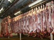 When Everyone Telling Meat