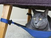 Pet-Friendly Furniture Animal Lovers