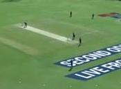 Perspex Kotla Kiwi That Long Over Martin Guptill