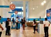 Royal Dutch Airlines Experience