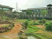 Wildlife Safari-cum-theme Park Adventure {Experience LeoFoo Resort Guanshi Village Theme Park}