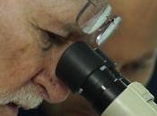 Ancient Papyrus Mentioning 'Jerusalem' Discovered (video)