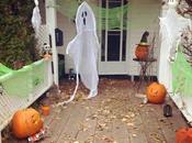 #PawsForReaction #Pumpkins Past #Halloween #JackOLanterns