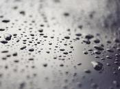 Basics Waterproofing Home