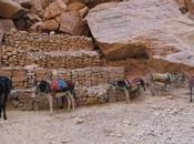 Petra “Ri-donkey-lous”