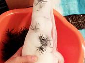 Halloween Decor: Spider Eggs Ribbon Backdrops
