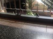 “Why Kissed Appalachian Trail Goodbye,” Arkansas Traveler Walk Through Mountains