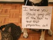 Happy Aviation Day! Travels with Choppy