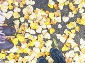 Outdoor Adventures When Camping with Kids