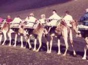 Entrance Tickets Timanfaya National Park, Lanzarote Have Bag, Will Travel