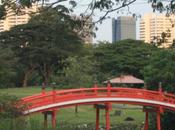 DAILY PHOTO: Japanese Bridge, Singapore