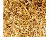 External Environment