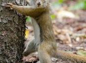 Americans Consider Themselves Environmentalists Ctrl Shift