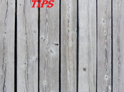 South African Travel Tips When Visiting Gauteng Travelmightyworld