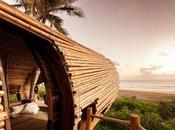 Treehouse Suite Deture Culsign, Architecture+Interiors Nordal,