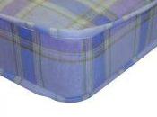 What Need Know Choose Best