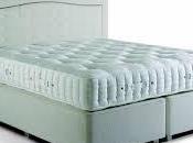 Importance Body Language