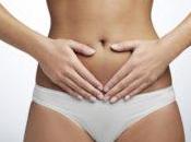 Ovarian Transplantation Might Possible Future