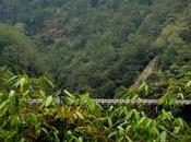 Singshore Bridge Newari Meal