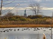 Friday Fotos: Several Distant Views Statue Liberty