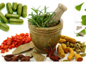 Best Ayurvedic Center India-Planet Ayurveda