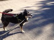 Switch Thinking. Context Matters.