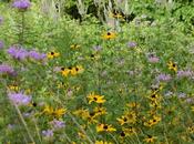Eloise Butler Wildflower Garden