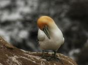 Changing Seasons, October 2016