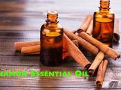 Cinnamon Essential Benefits Uses Skin, Hair Health