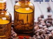 Coffee Essential Benefits Uses Skin, Hair Health